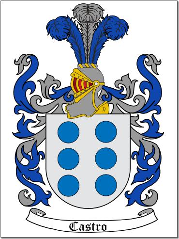 Image result for escudo fernandez de castro