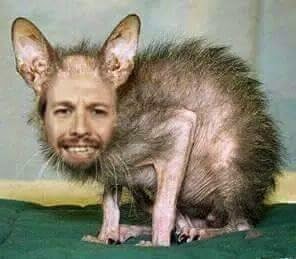 Foto de una rata chepuda inside - Página 3 - Foro Coches